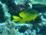 Pousada em Fernando de Noronha